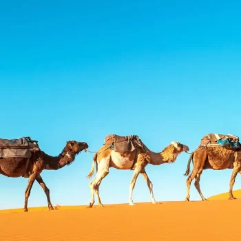 The Magic Of Plans – Or a Side Effect of Inner Work